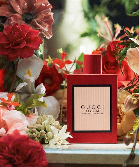 gucci bloom di fiori perfume|Gucci Bloom perfume collection.